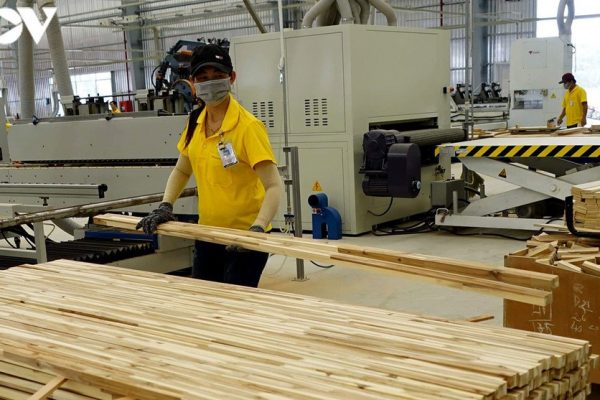 Liên tục các cấp ban ngành đang suy nghĩ về ngành CHẾ BIẾN GỖ