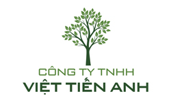 viet-tien-anh-logo